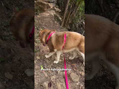Trilha das 04 PRAIAS em ITACARÉ na BAHIA 🩵