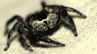 Oliver Huntemann - Donner (Original Mix)