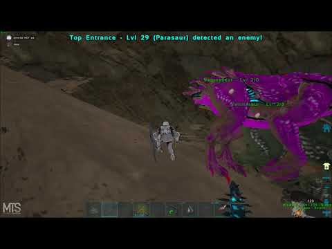 Drewski insiding MTS S5