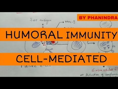 Hypersensitivity Type 1 and Type 2