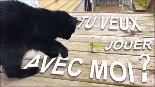 TU VEUX JOUER AVEC MOI ?