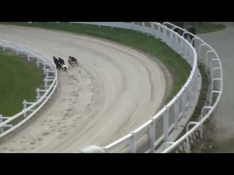 2022.11.26. 10. futam - WGO Nagydíj