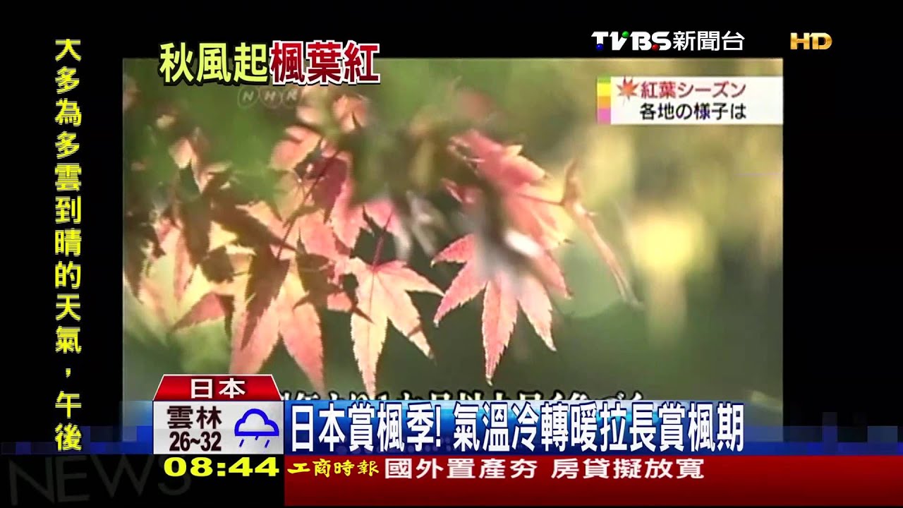 日本賞楓季！　氣溫冷轉暖拉長賞楓期
