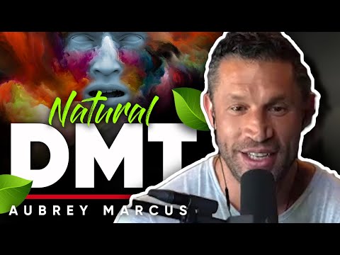 CREATING NATURAL DMT: オーブリー・マーカスが語るアヤワスカの旅のピークに到達するまでの道のり (CREATING NATURAL DMT: Aubrey Marcus Talks About Reaching The Peak Of His Ayahuasca Journey)