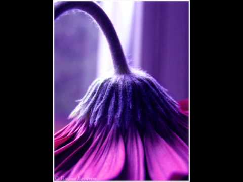 Mike Hennessy -  Don't See The Point (Original Mix)