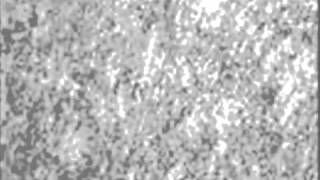 Siouxsie &amp; The Banshees - Icon