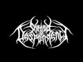 Shroud Of Despondency - The Passing 