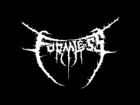 Formless - In Death, Rebirth