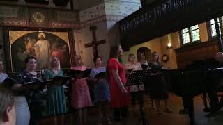 Lukaskoret🇩🇰 sings Yazoo cover of Mr. Blue