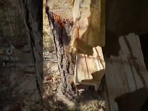 Kaatosaranan toiminta periaate