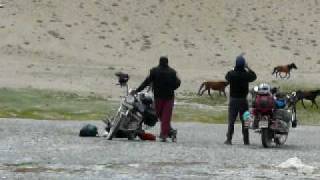 preview picture of video 'Wild Animals on Tso kar lake ( Ladakh)'
