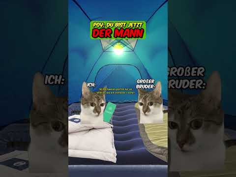Du bist JETZT der MANN! Zelten mit der Familie #katzenvideos  #camping #zelten