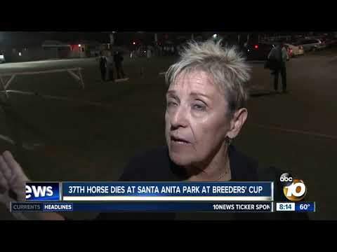 37th horse dies at Santa Anita Park
