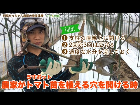 , title : '農家がトマト苗を植える穴を開ける時【トマト栽培】 【阿蘇がっちゃん農園の農業体験学校】'