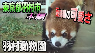 【TRAVEL＆CAMP】羽村市動物公園 (東京都) 〜本編〜