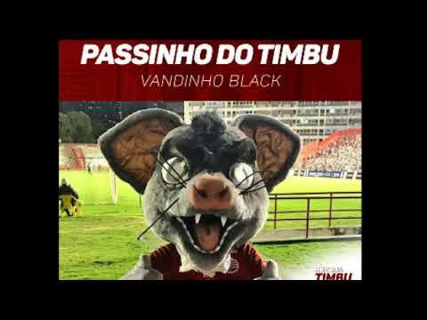 PASSINHO DO TIMBU - VANDINHO BLACK
