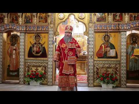 Проповедь и поздравления после Пасхальной вечерни