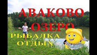 Ссылка