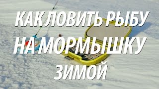 Зимняя рыбалка на мормышку советы