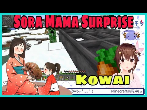 Hololive Cut - Tokino Sora Mama Scared Sora With Cicadas Shell | Minecraft [Hololive/Eng Sub]