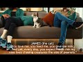James The Cat Takes On The Boss In EPIC Showdown