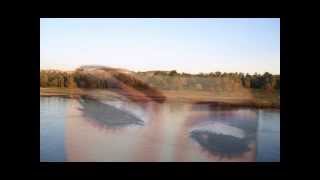 كلمات اغنية خليك مأنسنا محمد قنديل