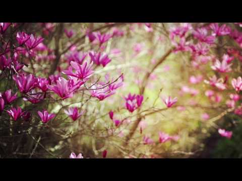 Juhan Ungru - Kõik, mis on seal sees