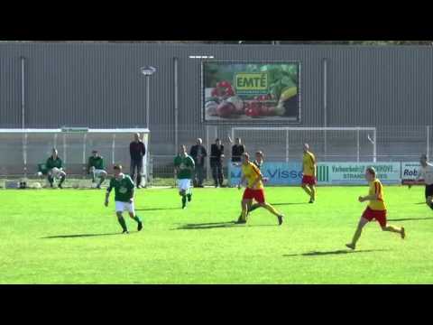 Meeuwen 2 - Arnemuiden2