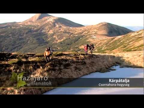 Hazajáró pillanatok - Csornahora