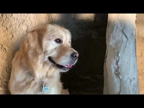 Bob Inspecting the Grotto