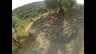 preview picture of video 'HARASHA - TALMON - Mountain Biking 29'