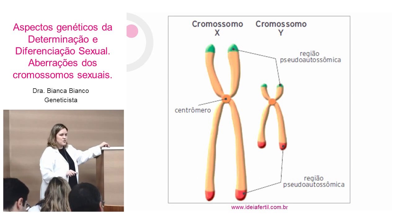 Aspectos Genéticos da Determinação e Diferenciação Sexual Parte II - Reprodução Humana
