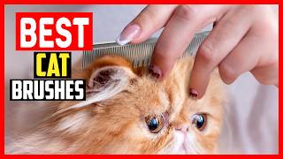 ✅Top 5 Best Cat Brushes in 2026