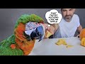 I SURPRISED My Harlequin Macaw with a Pumpkin Patch and he HATED IT!