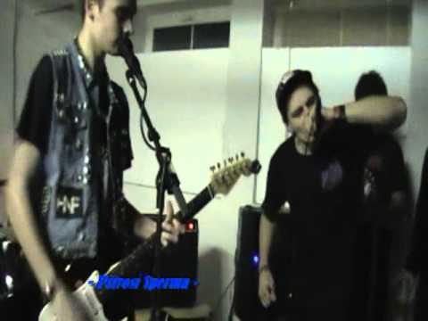 Pštrosí Sperma - Krupka, Kravín