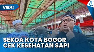 Sekda Bogor Cek Kesehatan Sapi Kurban di Wilayah Bogor Barat, Periksa Kondisi Gigi dan Kaki
