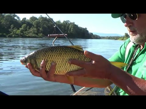 TOTALNI FEEDER RIBOLOV -  Ninoslav Žagar