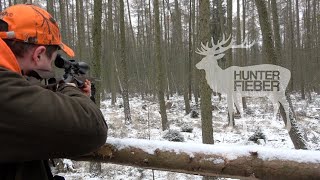 Drückjagd im Himmelreich bei den Hunterbrothers