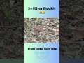 Striped Cuckoo's Weird Dance – Funny or Genius Hunting Trick? 🐦💃