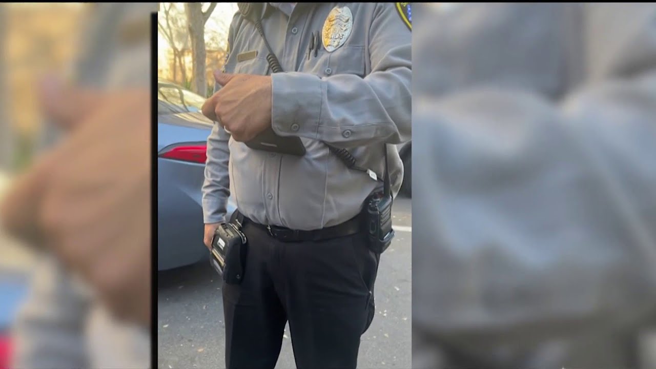 Video shows SD parking enforcement officer ticket couple's car before meter expired | NBC 7