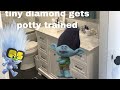 Tiny diamond gets potty trained von Supe