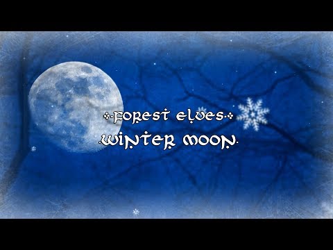 Forest Elves - Winter Moon 【Erutan Cover】