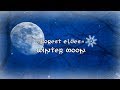 Forest Elves - Winter Moon【Erutan Cover】 