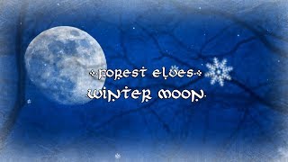 Forest Elves - Winter Moon 【Erutan Cover】
