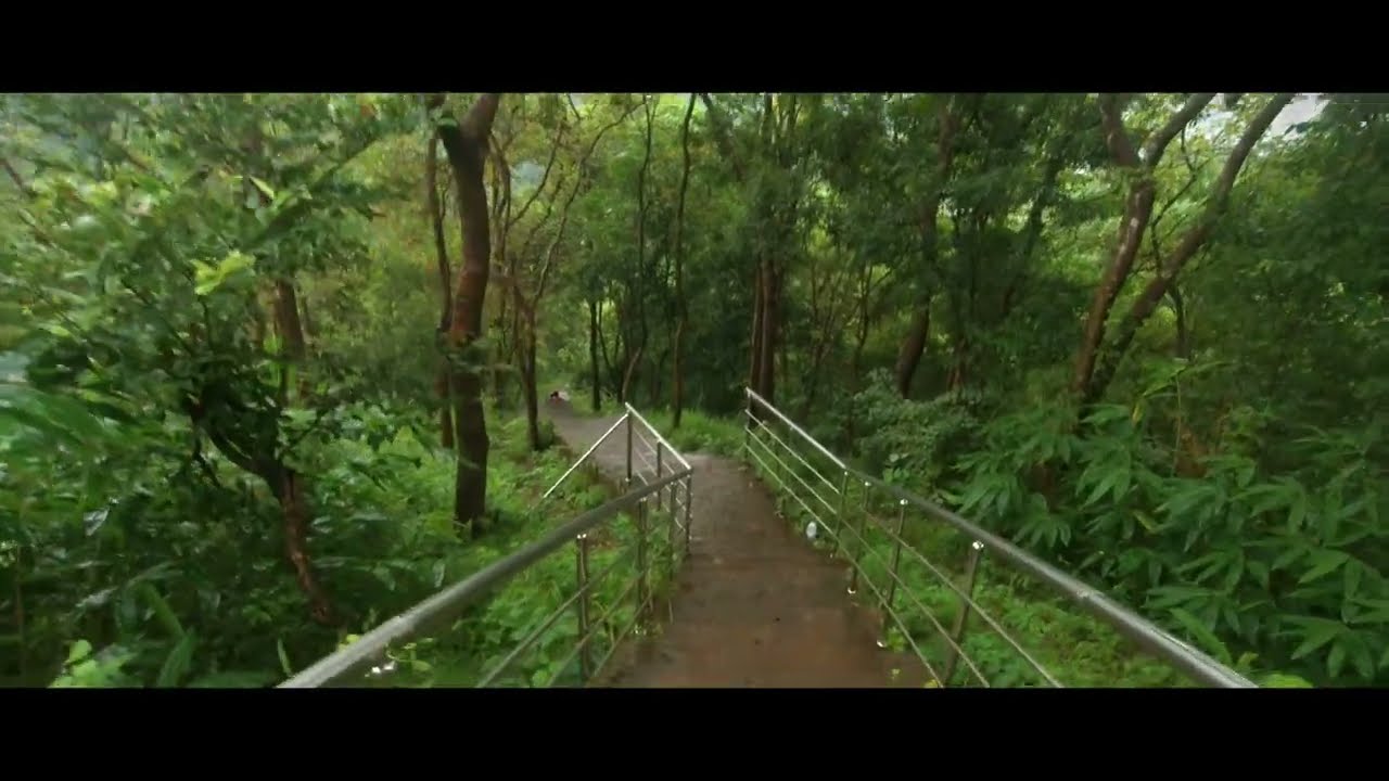 Interactive Layer (Form)