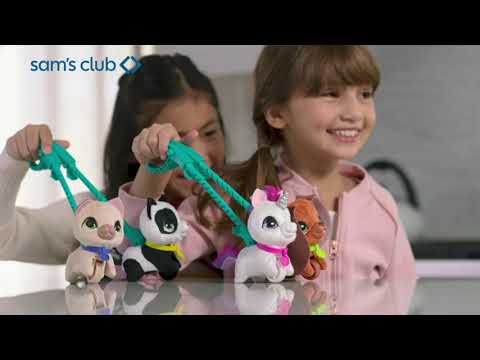 thumbnail video image 2 of Puppy FurReal Walkalots Hasbro, 2 of 5
