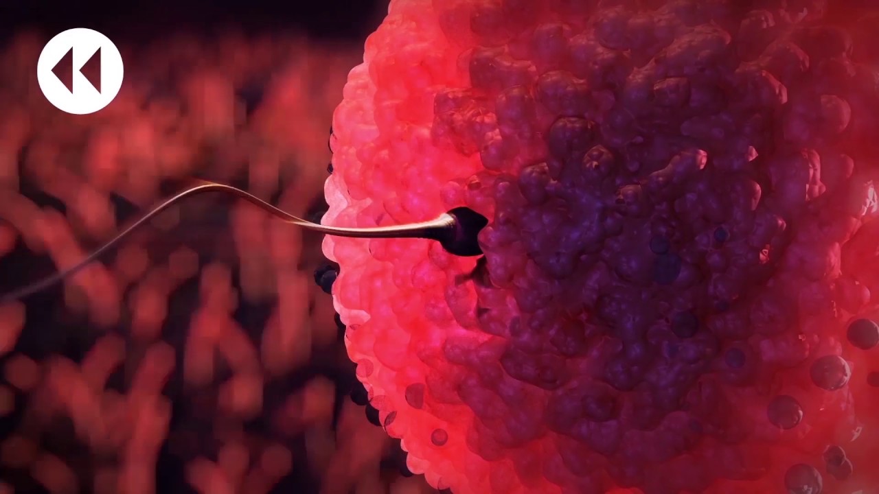 Как действует  ПОСТИНОР/ЭСКАПЕЛ