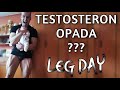 Zbog beba muškrcima TESTOSTERON opada? | Leg Day