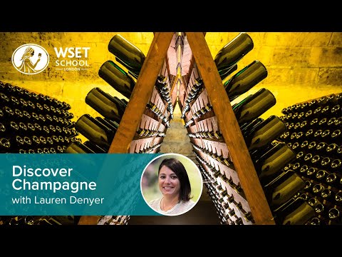 Discover Champagne with Lauren Denyer DipWSET