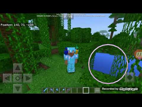 ICH WERDE EUCH zeigen wie man ein Papagei auf seinem Schultern legt